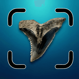 BeachBop® app icon by Randolph Schilke