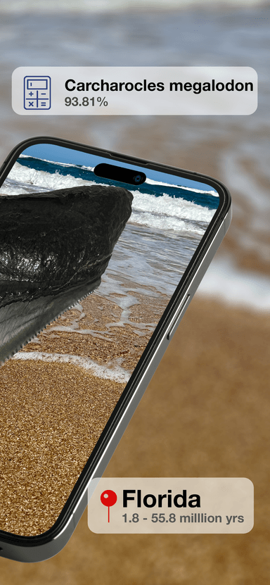 BeachBop® by Randolph Schilke - Screenshot 2