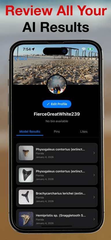 BeachBop® by Randolph Schilke - Screenshot 4