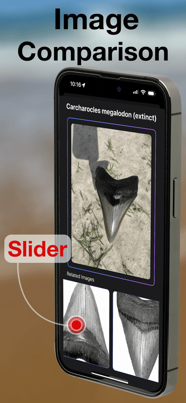 BeachBop® by Randolph Schilke - Screenshot 7