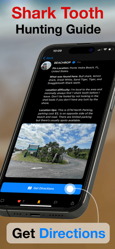BeachBop® by Randolph Schilke - Screenshot 8