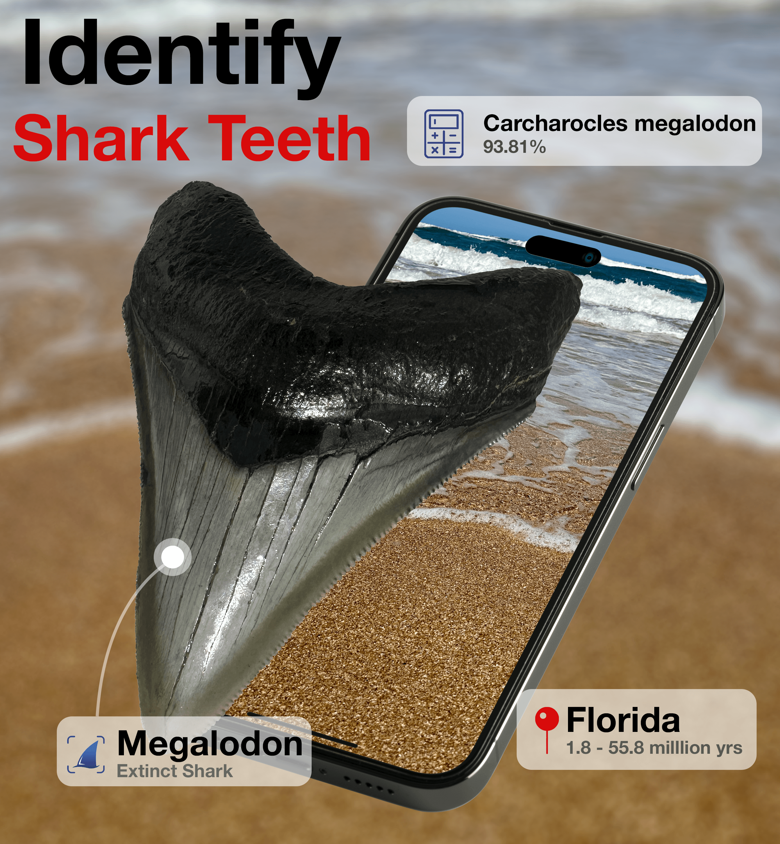 BeachBop Mobile Application Launch (2023)